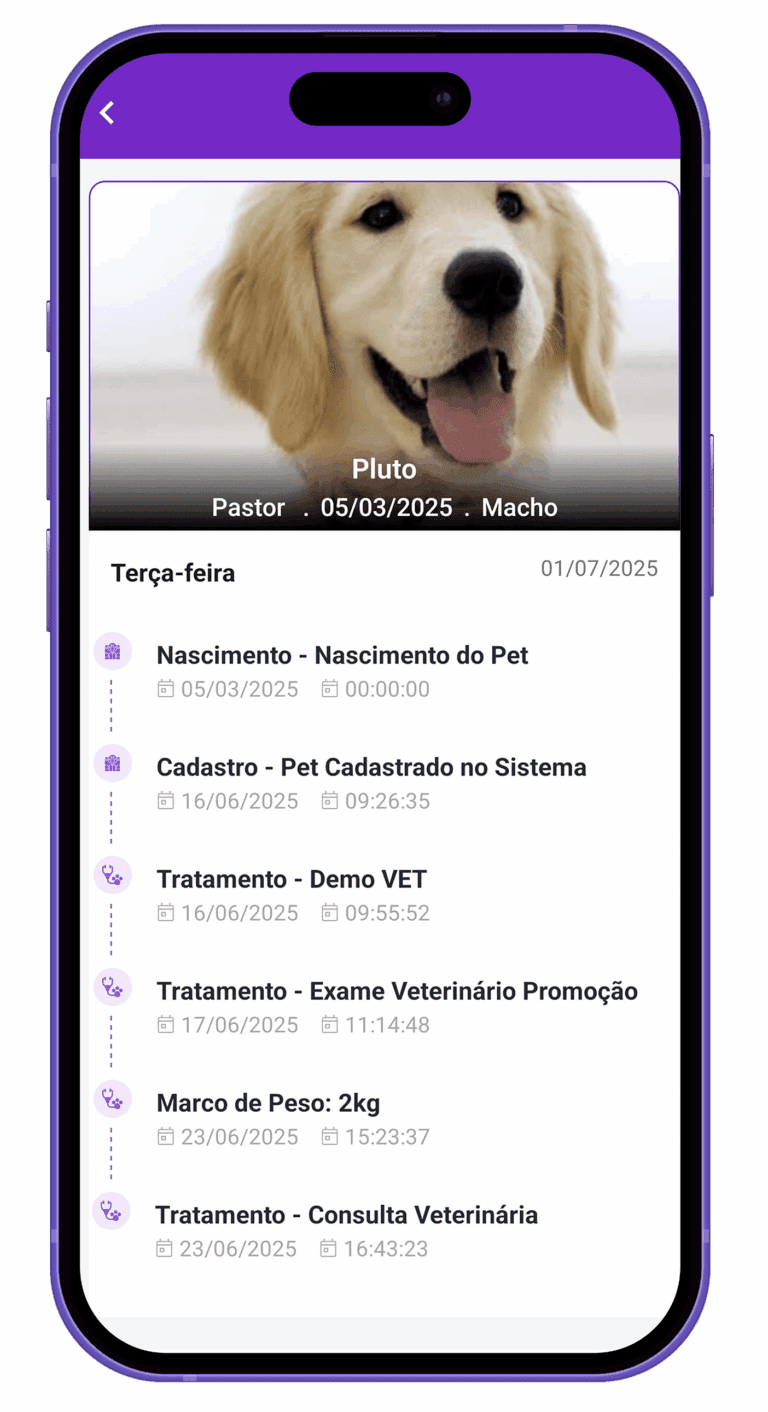 seção linha do tempo app