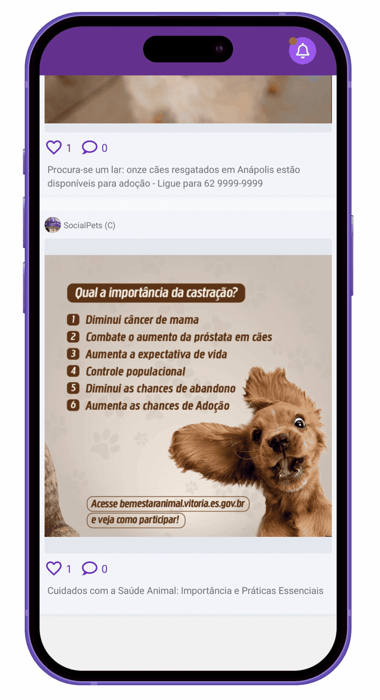 seção posts app