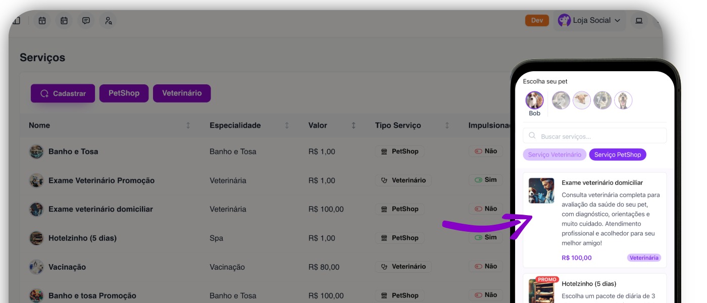 Sem título-10 (2)