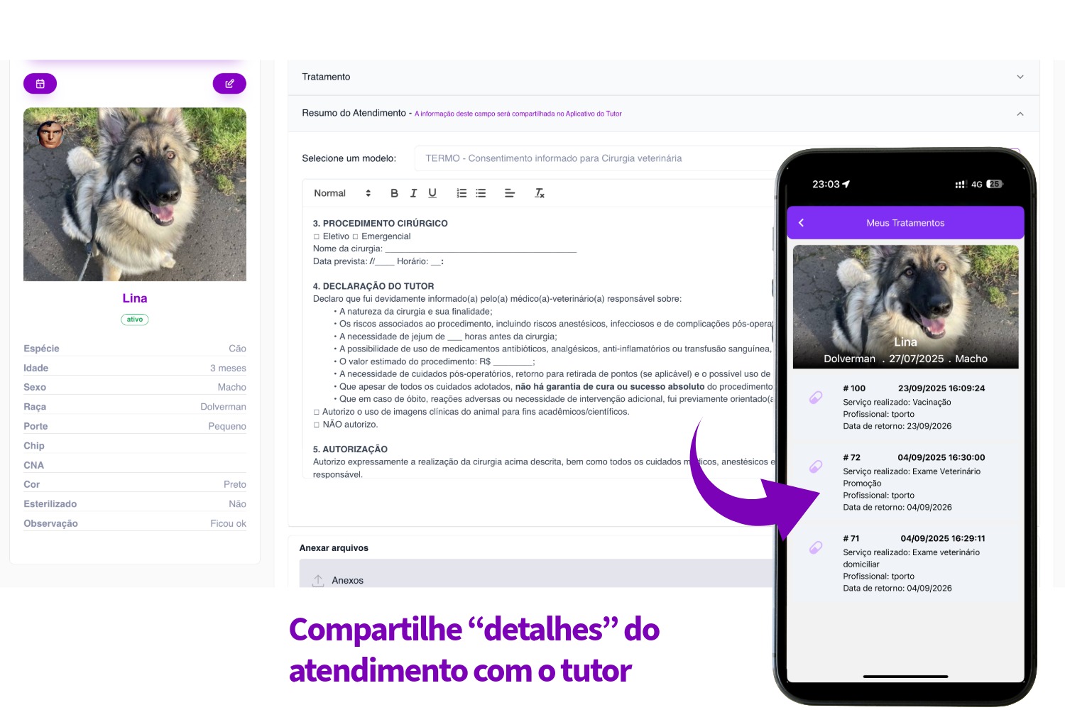 Compartilhe  "partes" do atendimento