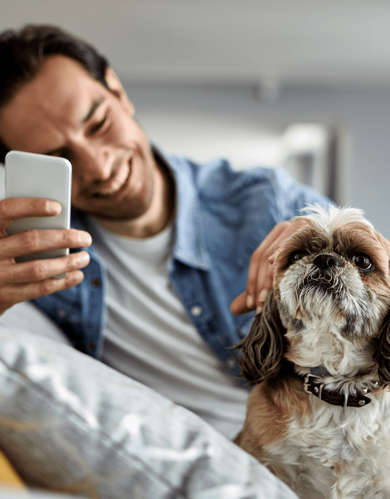 ecloseup-man-using-mobile-phone-while-relaxing-with-dog-living-room-focus-is-dog ecloseup-man-using-mobile-phone-while-relaxing-with-dog-living-room-focus-is-dog